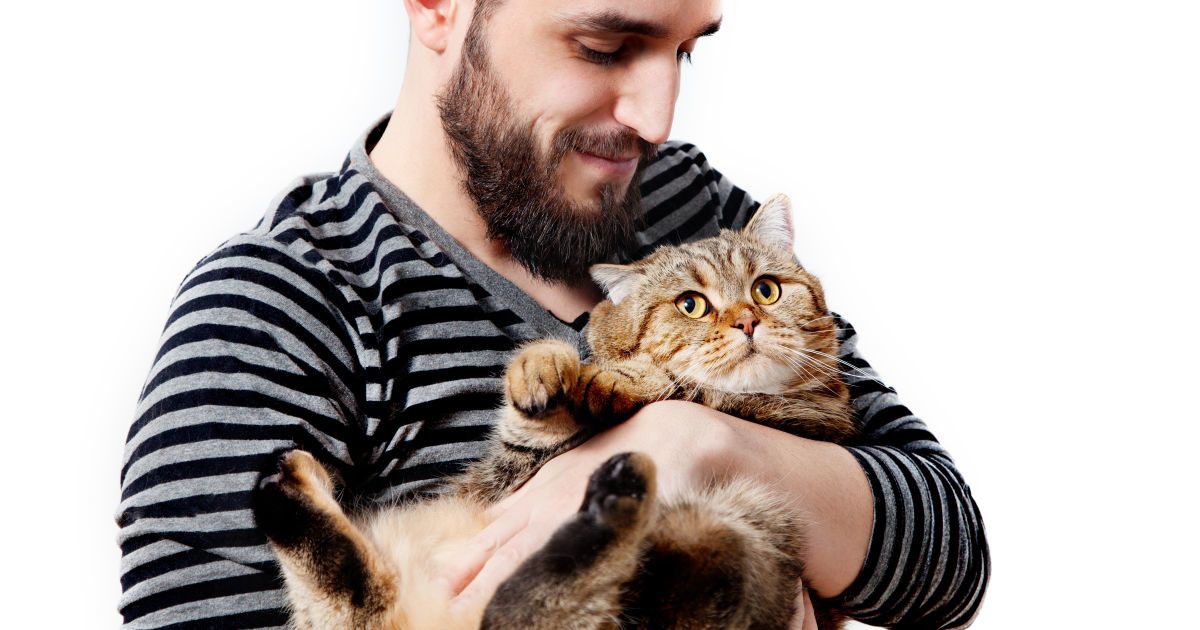 Человек который любит только котов, можно ли его считать психически  здоровым — Она