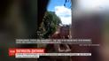 В Сети появилось видео с подозреваемым, которое было снято еще во время поисков 11-летней Даши