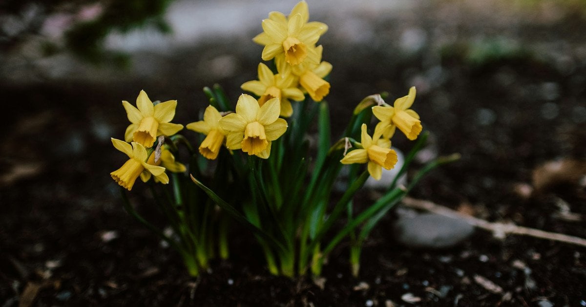 Який сьогодні, 19 березня, день ангела
