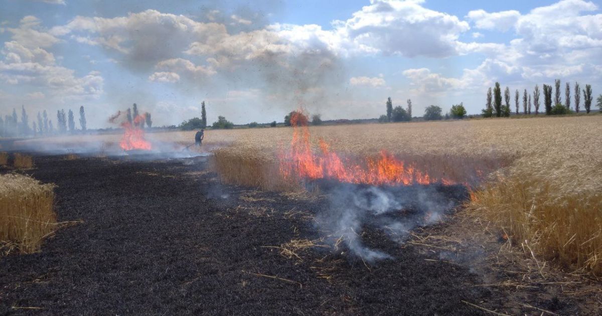 Росіяни продовжують палити український хліб: на Миколаївщині вигоріло поле пшениці (фото)