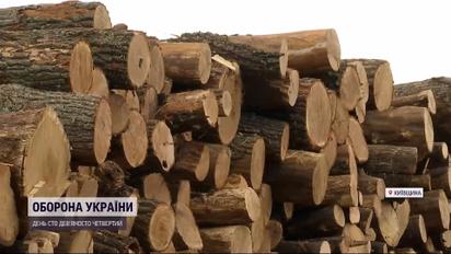 Ажіотаж на дрова: де і як зробити запаси на зиму, щоби вас не пошили в дурні