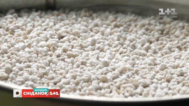 У підготовлений субстрат для гортензії додайте агроперліт і кору для запобігання застою води