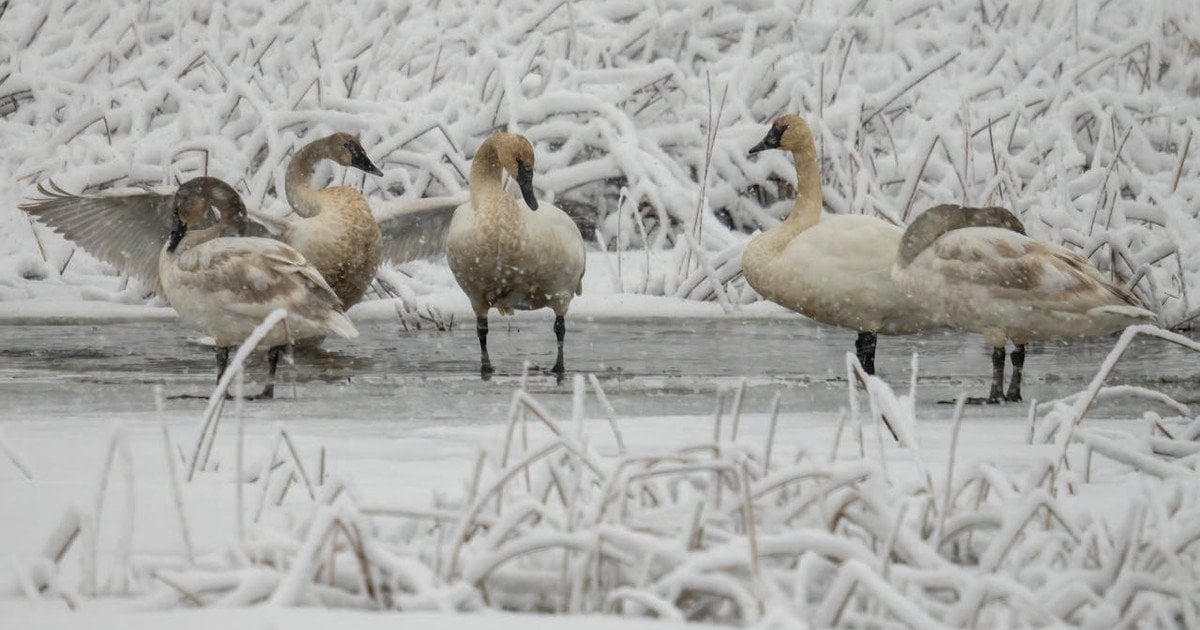 Який сьогодні, 8 січня, день ангела