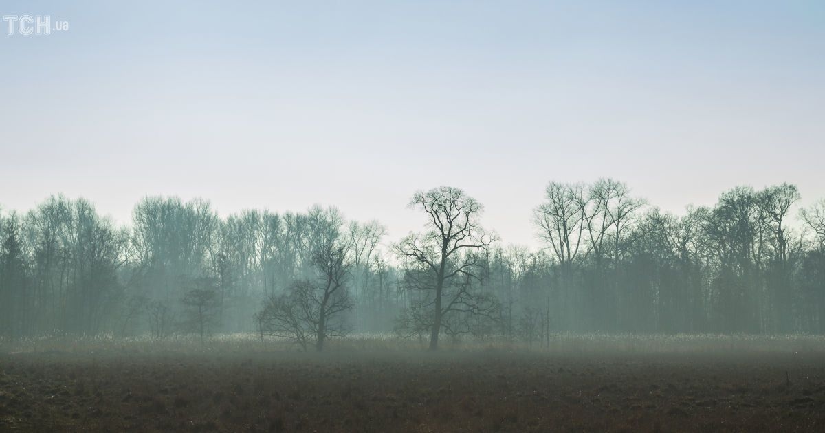 Гороскоп на 20 листопада для всіх знаків зодіаку: день, коли потрібно дослухатися до внутрішнього голосу