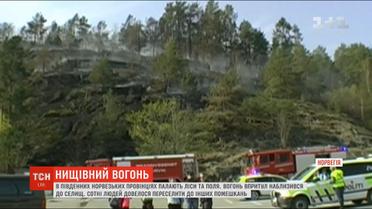 Норвегія потерпає від масштабних лісових пожеж