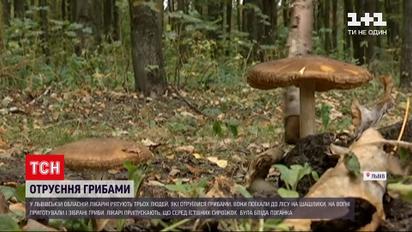 Новини України: дві жінки та чоловік отруїлися грибами, які самі ж назбирали