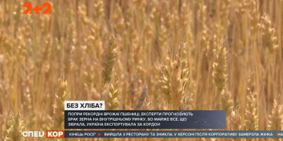 Аграрні парадокси: рекодного врожаю пшениці може не вистачити для власних потреб України