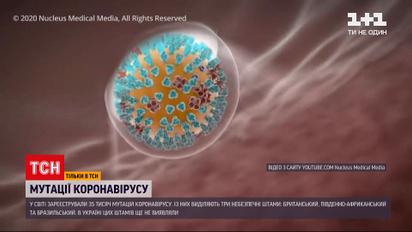Новини України: чим небезпечні нові штами коронавірусу і чи є вони у нас