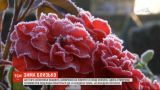 Зима на носу: синоптики предвещают заморозки на севере и востоке Украины