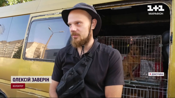 Алексей Заверин