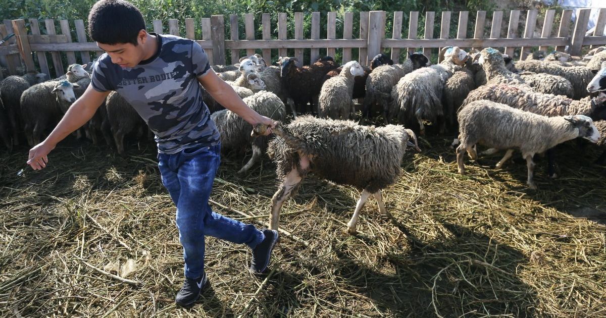 Святкування Курбан-байраму в києві_15 / © УНИАН