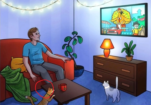 Відповідь / © Фото з відкритих джерел