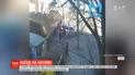 У Санкт-Петербурзі автомобіль в'їхав у натовп