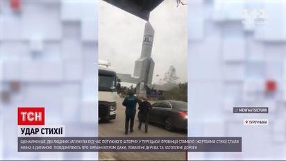 Мать и ребенок погибли во время мощного шторма в провинции Стамбул | Новости мира