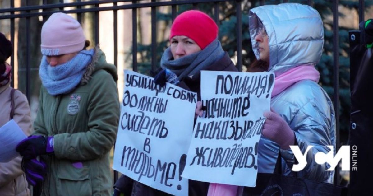 В Одессе двое мужчин расстреляли собак: зоозащитники вышли на митинг