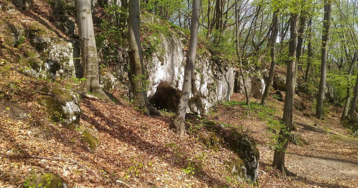 Машицька печера у Польщі, де були знайдені людські останки. Фото: Вікіпедія/Witold Mirek
