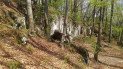 Машицкая пещера в Польше, где были найдены человеческие останки. Фото: Википедия/Witold Mirek