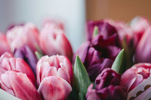 День ангела 31 грудня — душевні привітання в прозі / © Unsplash