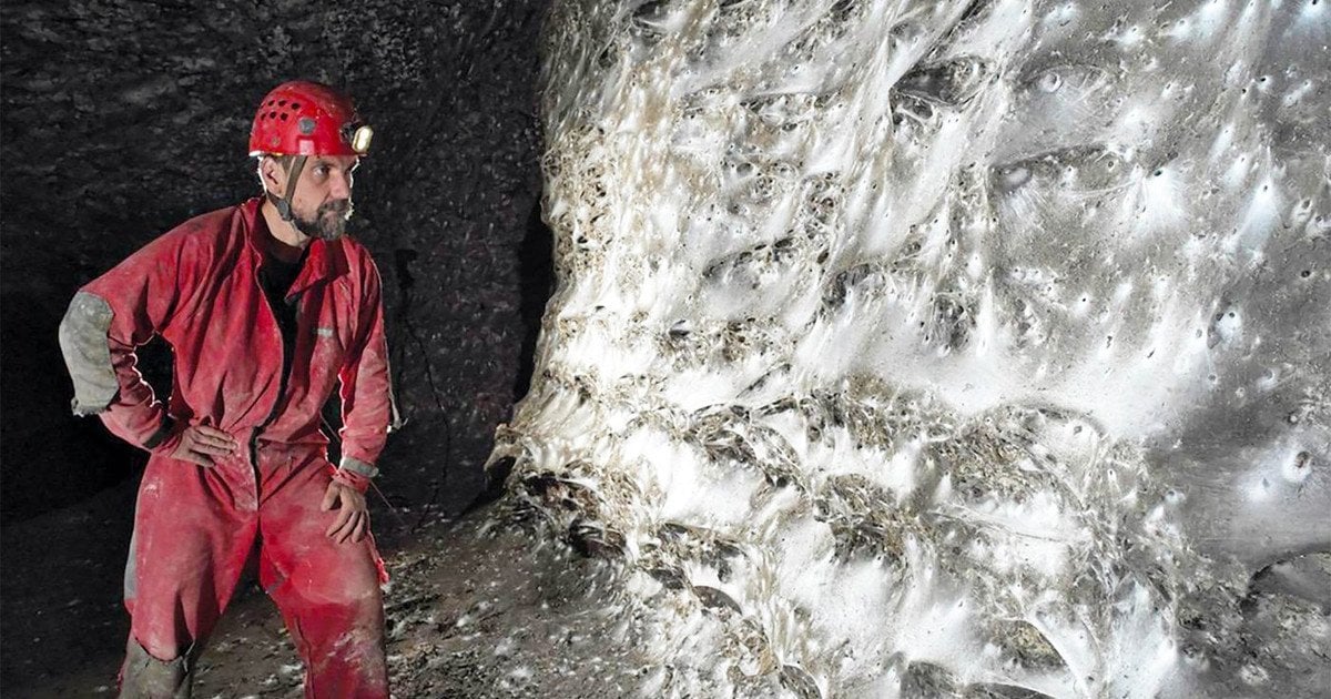 Павутиння в печері. Фото: Subterranean Biology