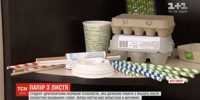 Украинский студент разработал технологию, которая позволяет делать из опавших листьев бумагу