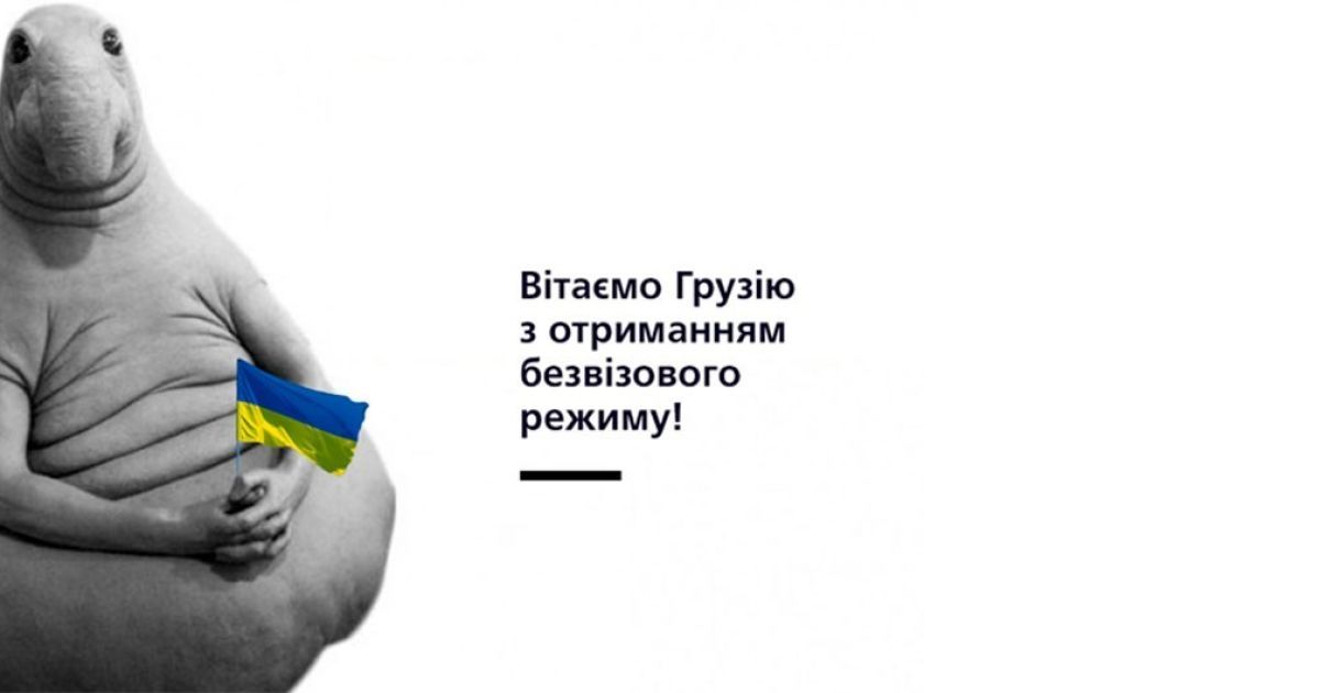 "Безвиз на оба ваших дома". Как украинцы отреагировали на решение ЕС по Грузии