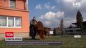 Новости мира: в Румынии показали самого красивого тибетского мастифа