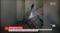 В Ровно двое суток спасали кота, который провалился в вентиляционную шахту многоэтажки