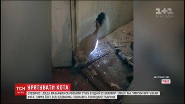 У Рівному дві доби рятували кота, який провалився у вентиляційну шахту багатоповерхівки