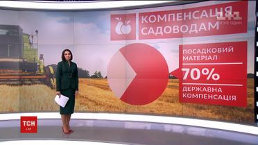 Кабмін заплатить компаніям і домогосподарствам за утримання великої рогатої худоби