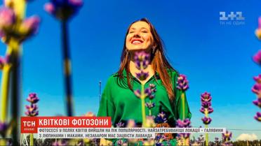 Украинцы наперегонки выезжают в цветочные поля ради хороших фотографий