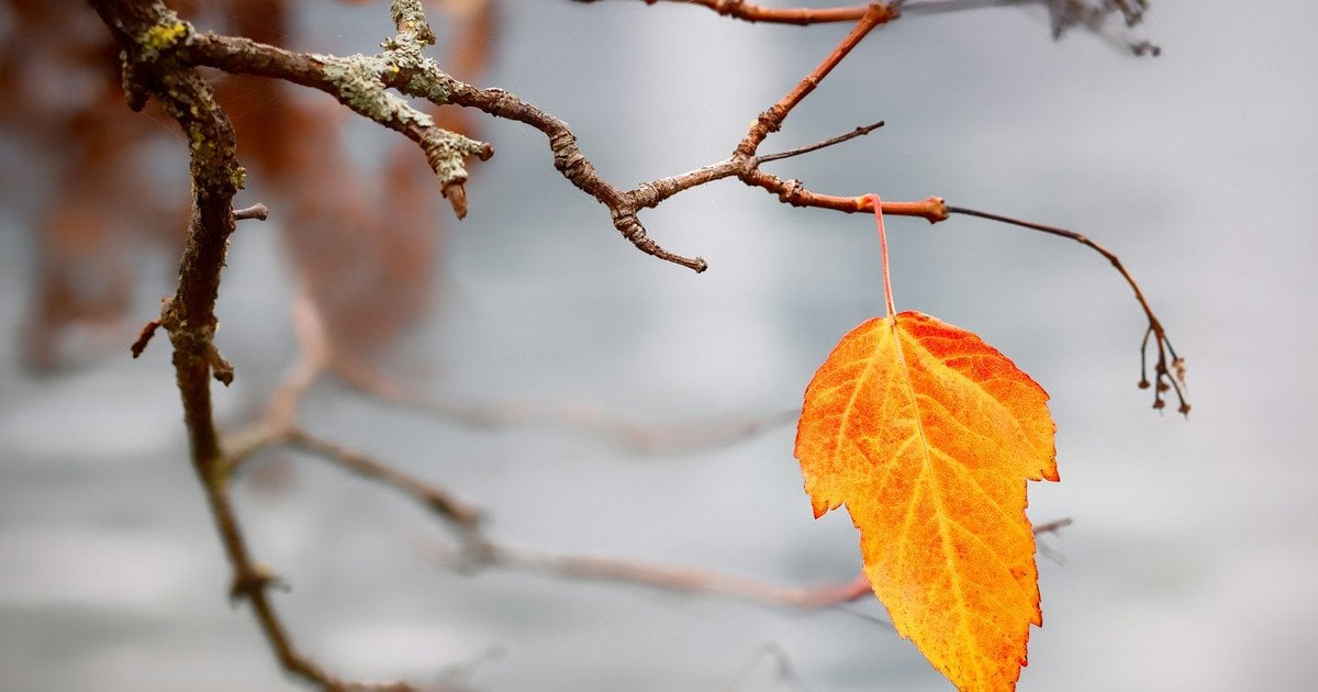 Какой сегодня, 28 октября, день ангела