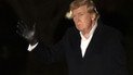 Трамп зробив заяву про членство України в НАТО і рідкоземельні метали
