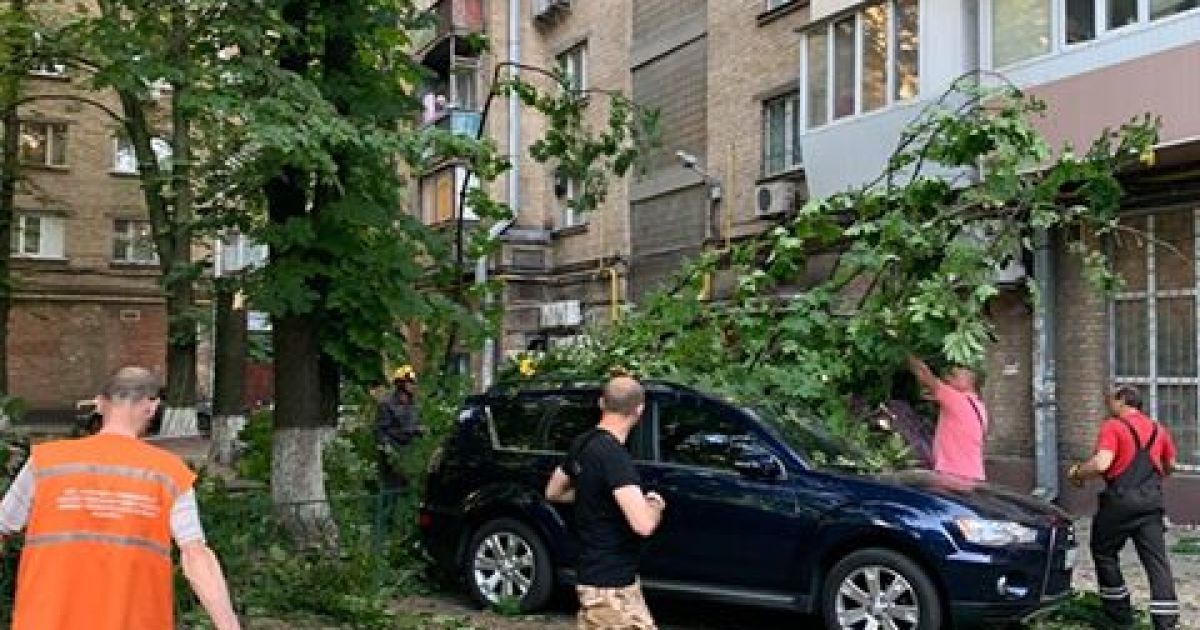 дерево впало на 4 авто в Києві_8 / © Фото: Анна Мельничук