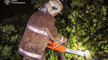 Негода на Харківщині_5 / © Управління ДСНС у Харківській області