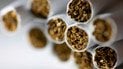 Без тіньового ринку сигарет Philip Morris могла б збільшити податкові надходження до бюджету на 25–28 млрд грн
