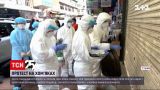 Тысячи гонконгцев вступились за грызунов, которых власти хотят уничтожить из-за COVID-19 | Новости мира