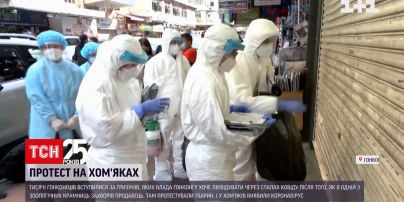 Тисячі гонконгців вступилися за гризунів, яких влада хоче знищити через COVID-19 | Новини світу