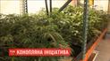 Петиція з вимогою легалізувати медичні коноплі в Україні набрала необхідних 25 тисяч голосів