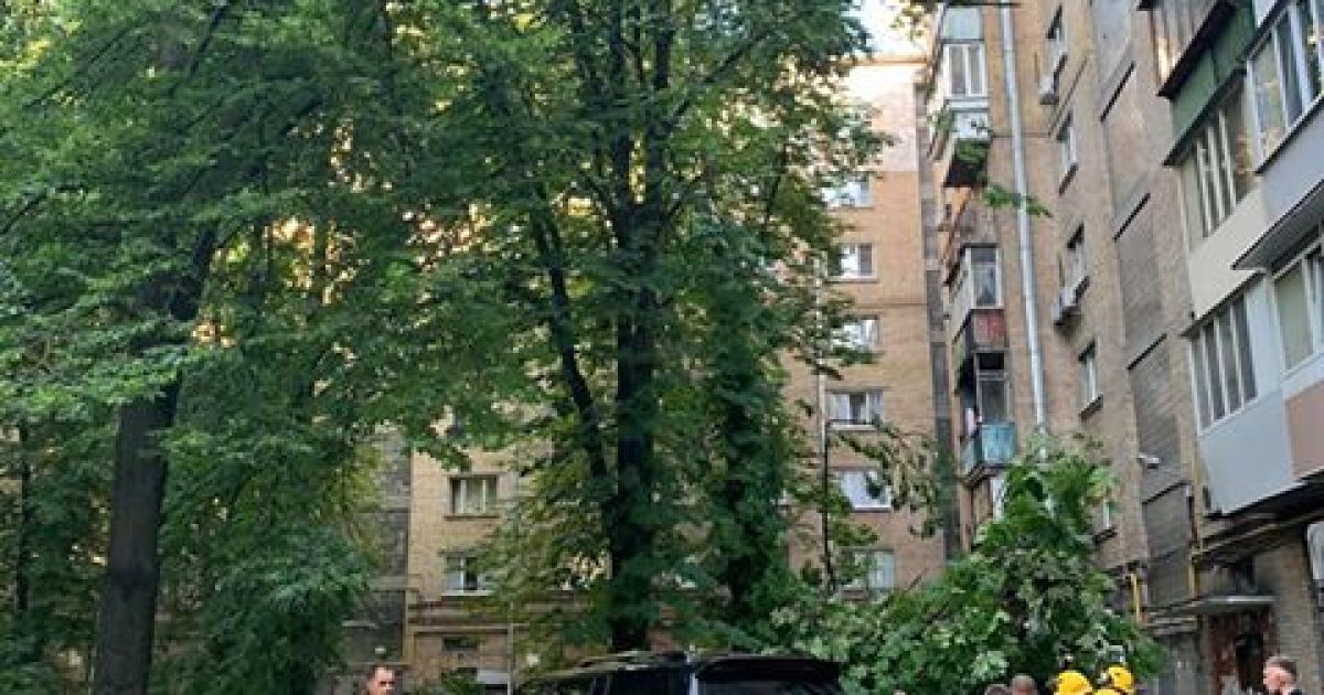 дерево впало на 4 авто в Києві_9 / © Фото: Анна Мельничук