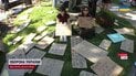 Які канікули?? Втомились, відпочиньте у піхоті! Другий день протестів у Києві наживо!