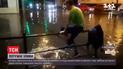 Вода по колено и люди вброд: как мощный ливень превратил Тернополь в Венецию