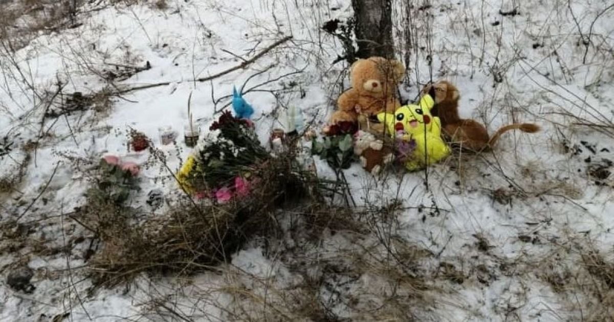 В России бродячие собаки загрызли 7-летнюю девочку