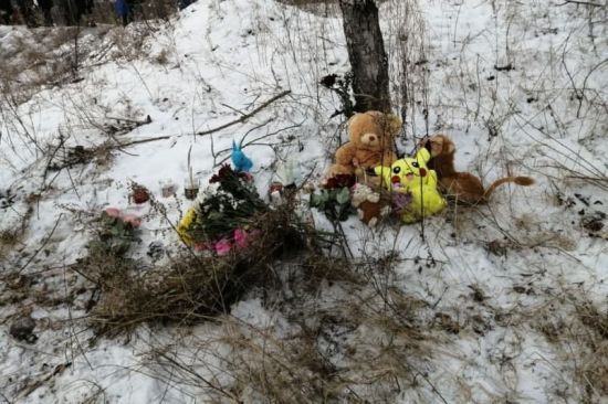 У Росії бродячі собаки загризли 7-річну дівчинку