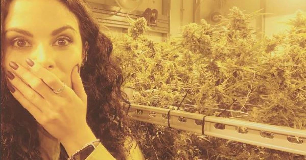 "Потап и Настя" показали фото в окружении многочисленного количества марихуаны