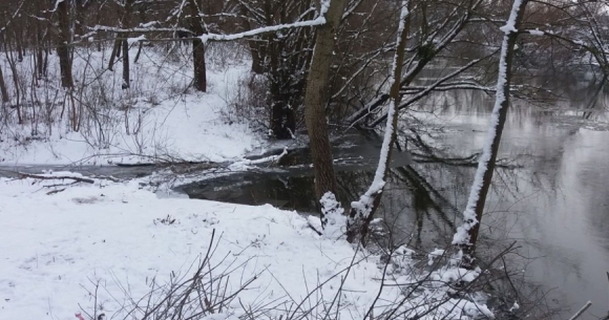 26 пар человеческих конечностей нашли на берегу реки в России