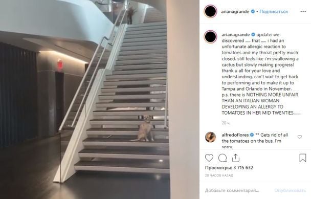  / © instagram.com/arianagrande