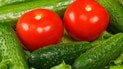 уход за огурцами и помидорами
