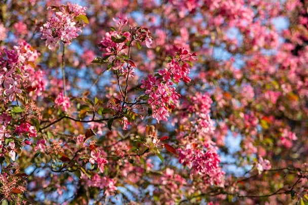 Народні прикмети 13 квітня / © pexels.com