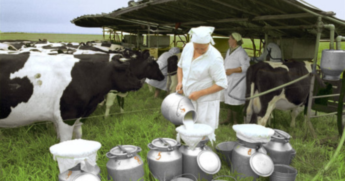 Казахстан снял ограничения на экспорт молочной продукции из Украины