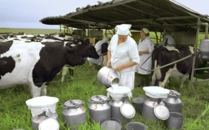 Казахстан разрешил ввозить молочную продукцию из Украины под пристальным контролем